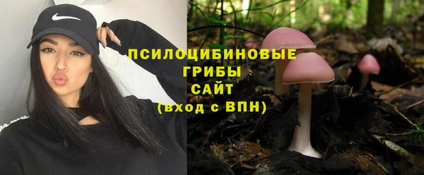 спайс Алзамай